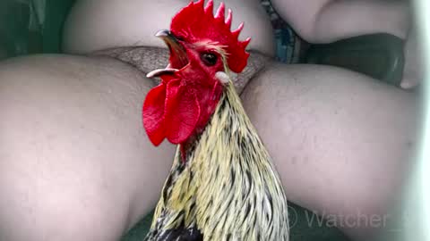 classified online show from November 9, 2025, 8:29 pm