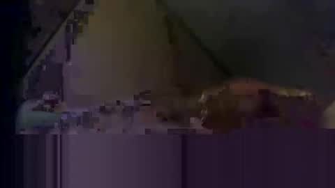 waynedmiller60895321 online show from April 2, 2026, 2:53 am