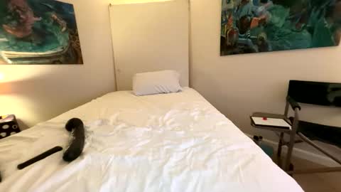 Retainer Forever Solo Album online show from March 7, 2026, 7:38 am