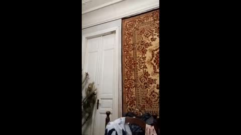 Marina online show from February 26, 2025, 4:14 pm