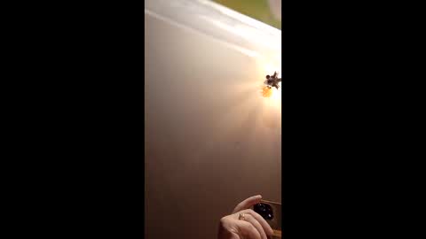 webiran online show from March 2, 2026, 4:58 am