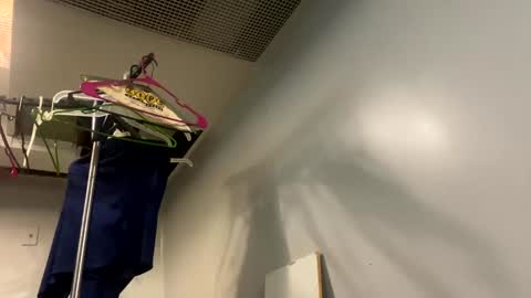 well_ndowed online show from January 2, 2025, 7:40 pm