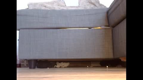 wet_pants2022 online show from February 27, 2025, 4:43 pm