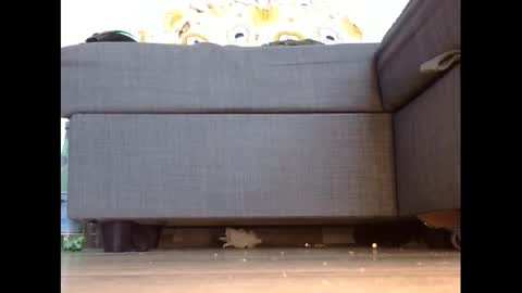 wet_pants2022 online show from March 3, 2025, 4:46 pm