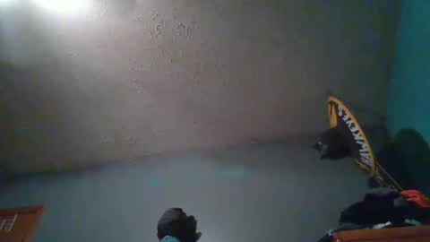 wetduck77777 online show from October 5, 2025, 8:01 am