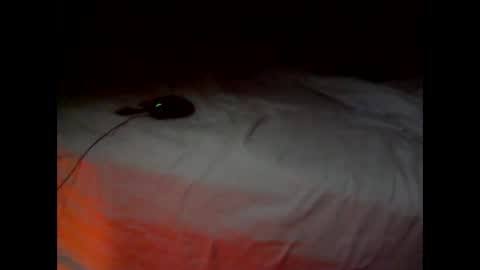 wgefwdtfvnlx online show from February 25, 2026, 7:34 pm