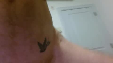 Snapshot of whisky_jam chatting on November 28, 2025, 12:57 am whisky_jam online show from November 28, 2025, 12:57 am