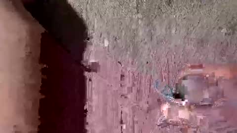 whitelava_4u online show from September 26, 2025, 10:30 am