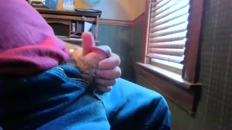 whydog online show from March 1, 2025, 3:05 pm