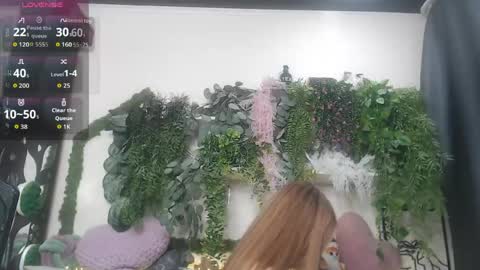 wiagra online show from April 18, 2026, 7:07 pm