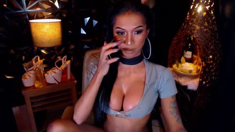 wildara online show from January 21, 2025, 10:08 am