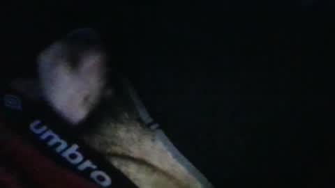 WildeAlex online show from October 17, 2025, 11:46 am