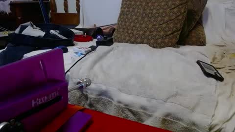 wildfreek6969 online show from January 1, 2025, 12:55 pm