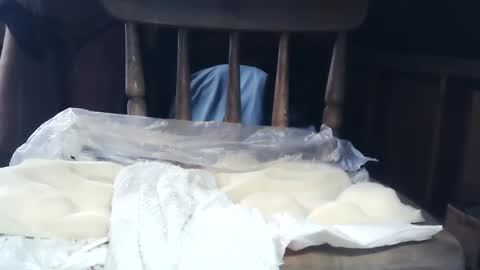 wildman6 online show from January 26, 2025, 8:34 pm