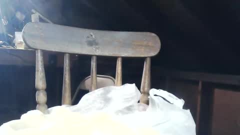 wildman6 online show from February 8, 2025, 8:53 pm