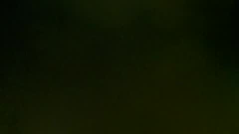 WildPersia online show from March 8, 2025, 9:08 pm