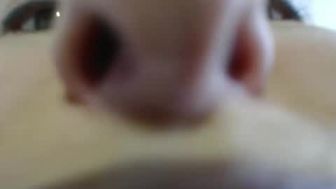 WildRose L - check my Pinned tweet if you dont see me online within 5 minutes after Ive sent email notifications online show from April 26, 2026, 10:07 pm