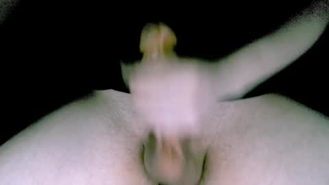 willcox10301 online show from February 9, 2025, 6:47 pm