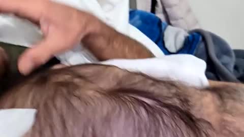 willing_joeking online show from October 22, 2025, 11:54 am