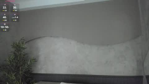 Ms Willow online show from January 28, 2025, 11:17 am