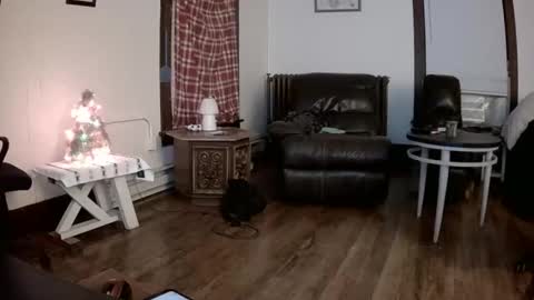 willydogg83 online show from December 16, 2025, 6:07 am