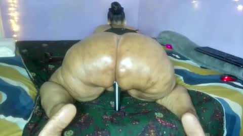 wilmaassylum online show from December 19, 2025, 5:58 am