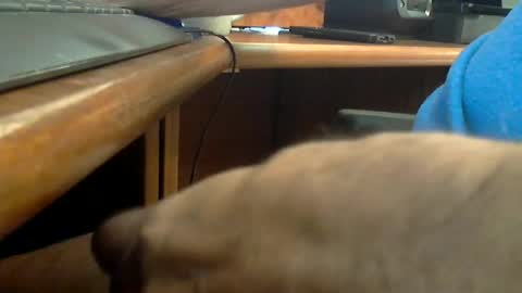 Snapshot of wineman88886 chatting on June 20, 2026, 7:16 pm Wineman88886 online show from June 20, 2026, 7:16 pm