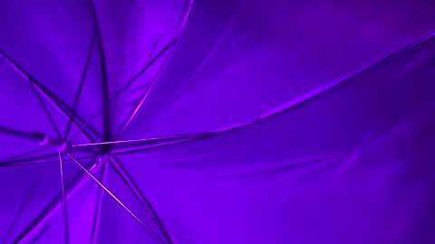 Wiz and Candy online show from January 8, 2025, 5:16 am