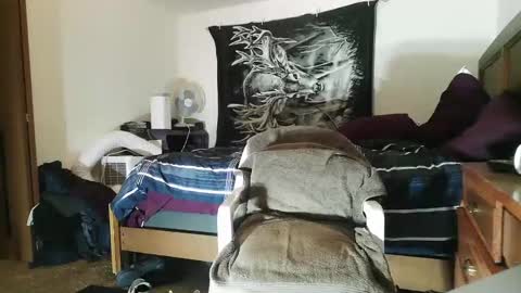 wolfman79 online show from January 19, 2025, 1:33 pm