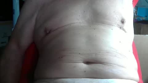 wolfoerl online show from November 11, 2025, 3:34 pm