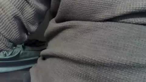 Snapshot of wolfreapsurass chatting on February 24, 2026, 3:15 am wolfreapsurass online show from February 24, 2026, 3:15 am