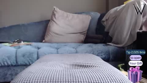 Wonder online show from December 22, 2024, 5:34 am