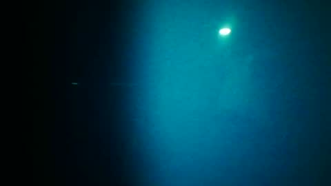 woodeee77 online show from June 25, 2026, 10:58 pm