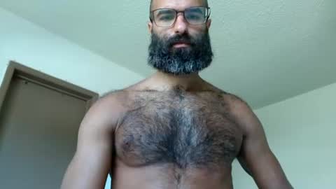 Snapshot of woof_wolf37 chatting on July 23, 2026, 4:49 pm woof_wolf37 online show from July 23, 2026, 4:49 pm