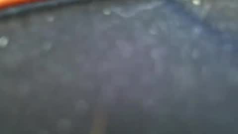 Snapshot of wrangleat0r chatting on January 28, 2025, 11:50 pm wrangleat0r online show from January 28, 2025, 11:50 pm