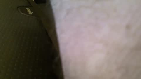 Snapshot of wrangleat0r chatting on January 11, 2026, 5:56 am wrangleat0r online show from January 11, 2026, 5:56 am