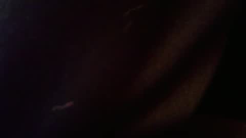 Snapshot of wrangleat0r chatting on February 12, 2026, 2:50 am wrangleat0r online show from February 12, 2026, 2:50 am