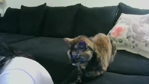 Crystal Lake online show from October 15, 2025, 6:35 am