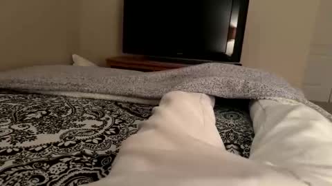 Snapshot of wsteel66 chatting on February 24, 2026, 3:48 am Wsteel66 online show from February 24, 2026, 3:48 am