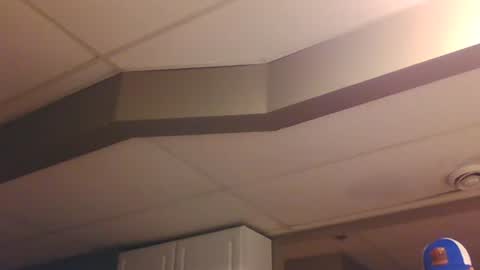 BONER DONOR online show from January 7, 2025, 6:14 pm