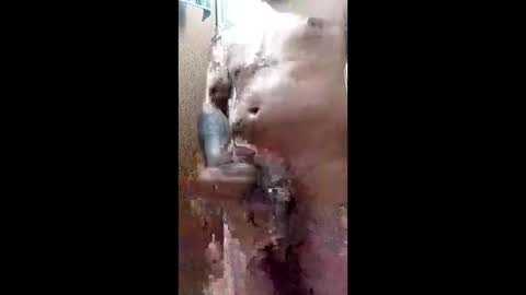 Blk online show from March 29, 2026, 11:38 pm