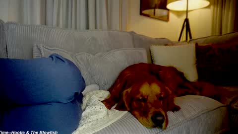 Lily online show from September 15, 2025, 11:27 pm