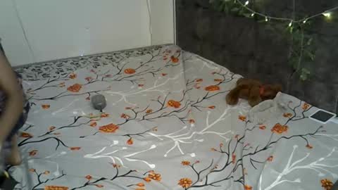 Alexa online show from November 17, 2025, 2:23 pm