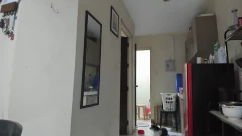 Snapshot of xdreamangel chatting on January 27, 2025, 12:58 pm xdreamangel online show from January 27, 2025, 12:58 pm