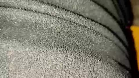 ximradiaz online show from November 23, 2025, 1:27 am