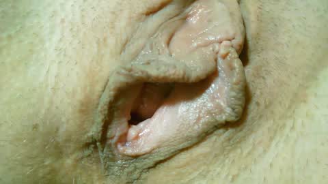 Lost in Lust online show from January 31, 2025, 12:50 am