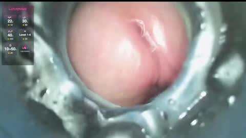 xoxowtf online show from December 9, 2024, 3:54 pm