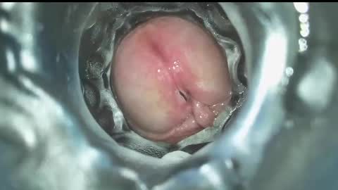 xoxowtf online show from December 16, 2024, 7:43 pm