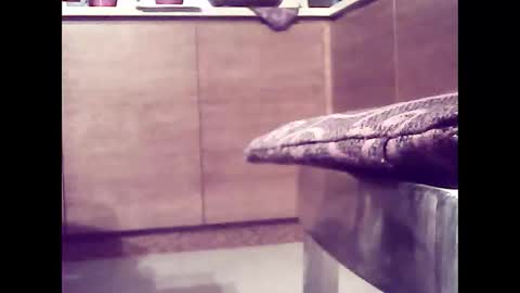 xsoul72 online show from February 26, 2025, 4:56 pm