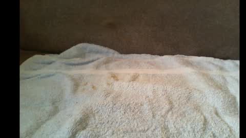 Snapshot of xxbigdick90xx chatting on May 12, 2026, 6:43 am xxbigdick90xx online show from May 12, 2026, 6:43 am